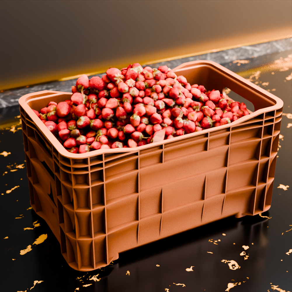 🟠 Multipurpose Transport Food Storage Crate